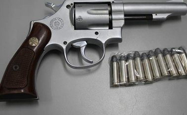 Las armas se entregarían a 'ciudadanos de bien' La Opinión