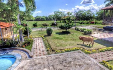 La Policía trabaja para dar con el paradero de los animales. @TinoasprillaH