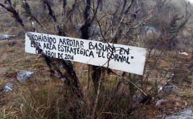 "No hay interés en conservar". Fredy Alonso Maldonado