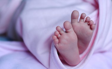 Así lo afirmó el neurobiólogo de la Universidad de California en Los Ángeles, Alcino J. Silva. Pixabay / Referencial