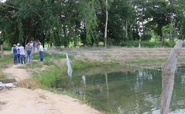 Finca Los Caballos. Archivo