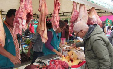 El Instituto Departamental de Salud notificó de la medida a la Alcaldía de Pamplona, que deberá dar cumplimiento al Decreto 1500 de 2007. Roberto Ospino