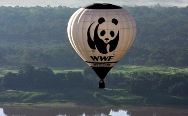 El grupo WWF financia "violentas fuerzas paramilitares" que han matado y torturado a gente en parques nacionales en Asia y África, según el sitio de información Buzzfeed. AFP