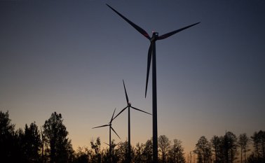 Según un Informe de Recursos Globales presentado por ONU Medio Ambiente. Pixabay / Referencial