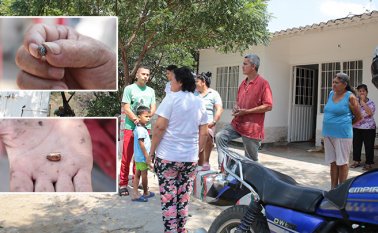 Estos artefactos caen en sus patios, salas, techos, ventanas y calles. César Obando / La Opinión