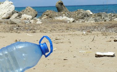 La declaración final de la UNEA-4 deja fuera el problema global de la deforestación. Pixabay / Referencial