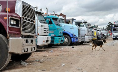 Las empresas investigadas habrían expedido manifiestos a vehículos mal matriculados, incluso, posteriormente a que el Ministerio de Transporte publicara el ‘primer reporte de vehículos de carga mal matriculados’ en noviembre de 2018. Archivo / La Opinión