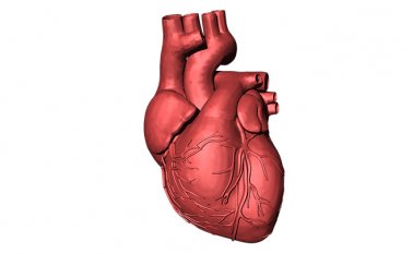 Hay que tener en cuenta que estas señales inusuales deben ser valoradas por un médico especialista. Pixabay / Referencial