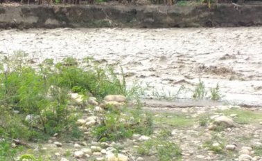 Estas personas salieron desde Trinidad y Tobago. Archivo / La Opinión