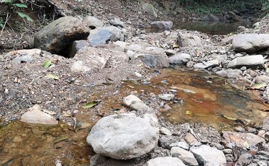 Archivo / La Opinión