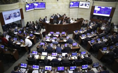 La demanda busca que "se declare la nulidad del acta de escrutinios formulario E-26, de fecha 19 de julio del año pasado y de la Resolución No. 1596 del 19 de julio del mismo año. Colprensa