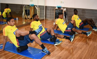 Amistosos que disputará la selección como preparación para la Copa América de Brasil-2019. Colprensa