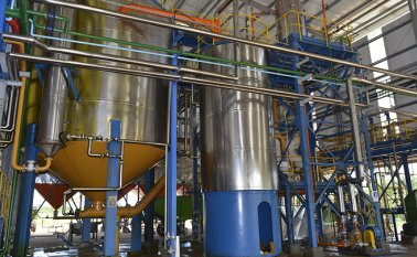 La agroindustria de la palma de aceite espera que se reactive el Programa Nacional de Biodiésel, el cual beneficiaría ciudades como Medellín y Bogotá, que enfrentan problemas en la calidad del aire. Archivo / La Opinión