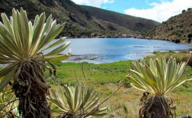 El 70 por ciento del macizo montañozo Santurbán pertenece a Norte de Santander. Archivo