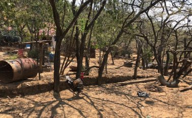 Orlando Carvajal / La Opinión 