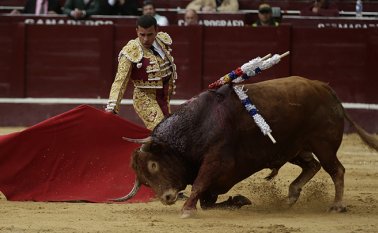 El Alto Tribunal resolvió una demanda en contra de la Ley 1774 de 2016. Colprensa