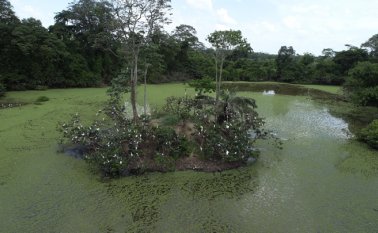 Humedal Las Garzas ubicado en la vereda La Rochela, corregimiento Campo II (Tibú). Cortesía Corponor