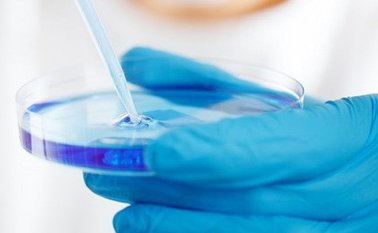 El hombre es el padre biológico de 49 niños nacidos por fecundación in vitro.
Internet