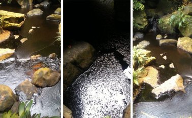 Tomada de Twitter @Ecopetrol_SA