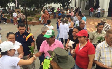 A las afueras de los templos se entregaron las plantas. Policía