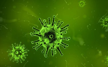 Pixabay / Referencial 