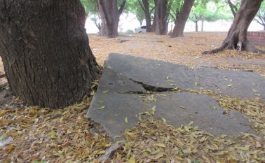 César Obando / La Opinión 