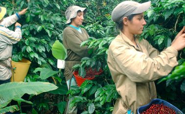 El Ministerio de Agricultura anunció $100.000 millones más. Archivo