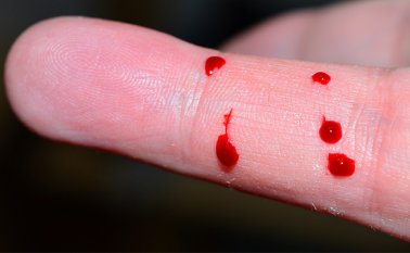 Especial / Cortesía