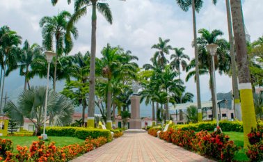 La ruta se inicia en el parque principal, donde sus jardines dejan ver una de las bellas estampas locales, con las ixoras florecidas. Cortesía de Wilson Ortega