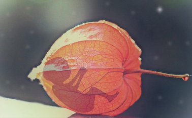 Según Doctoralia, plataforma líder mundial especializada en conectar pacientes con especialistas de la salud. Pixabay / Referencial