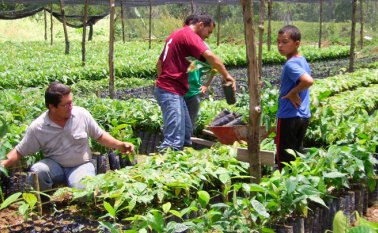 Por esta razón, el Banco Agrario colocó más de $6.000 millones en préstamos, en 300 operaciones que han beneficiado al mismo número de productores. Archivo