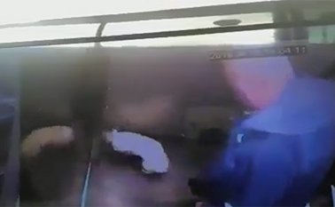 La Plataforma Alto divulgó un vídeo en el que se ve al hombre, cuya identidad y nacionalidad no ha sido divulgada, patear y golpear al animal. Captura de video