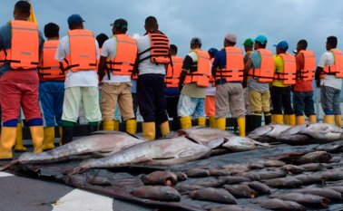 Detuvieron a los tripulantes y los subieron al buque ARC "7 de agosto", donde recibieron atención médica. Cortesía para El Colombiano