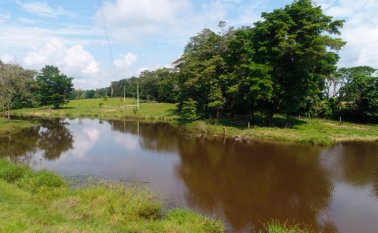 El encuentro será este sábado en el parque de Campo Dos. Archivo