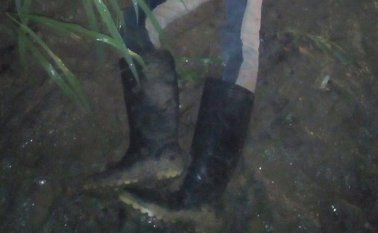 No se ha identificado a la víctima. Cortesía