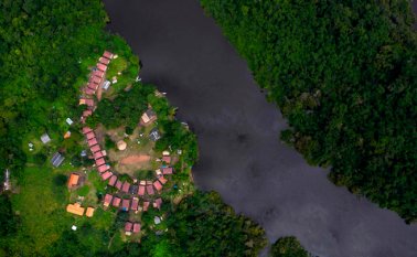 La deforestación en la Amazonia brasileña aumentó 54% en enero de 2019, según Imazon. AFP