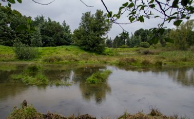 Colombia ha perdido en los últimos diez años cerca de 200.000 hectáreas anuales de sus bosques y selva tropical húmeda, siendo una de las regiones más afectadas el Amazonas, donde se concentra el 75 % de la deforestación del país. Colprensa