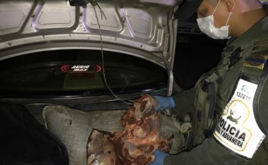 El producto y el carro decomisados quedaron a disposición de la Seccional de Aduanas de Cúcuta. Policía Nacional