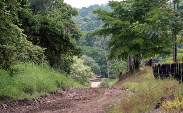 Por esta carretera ingresaron a pie al menos 30 militares venezolanos, armados con sus fusiles de dotación, hacia el territorio colombiano. Mario Caicedo / La Opinión