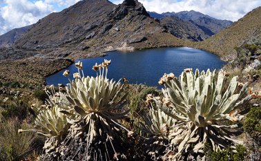El Ministerio de Ambiente y Desarrollo Sostenible tiene hasta el 16 de julio de 2019 para presente la nueva línea de protección del Páramo de Santurbán. Archivo