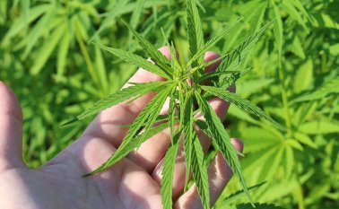 Pixabay / Referencial