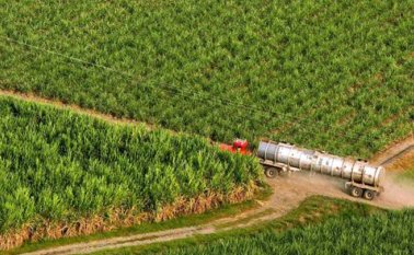 El ingreso de etanol, especialmente de los Estados Unidos, genera un impacto a la industria local. Colprensa