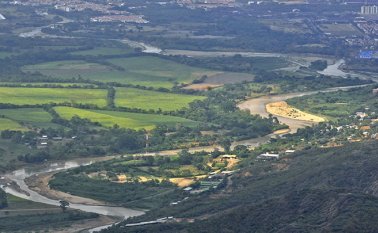 10.000 hectáreas de bosque seco tropical en Cúcuta. Archivo / La Opinión