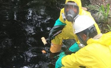 Ecopetrol-Referencial