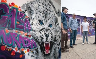 Mario Franco y cortesía