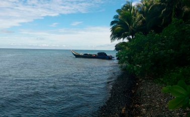 En la misiva del Ministerio Público se solicitó al jefe de la cartera que se expidan normas que garanticen la conservación de dichas áreas y consoliden a Colombia como un país megadiverso. Colprensa