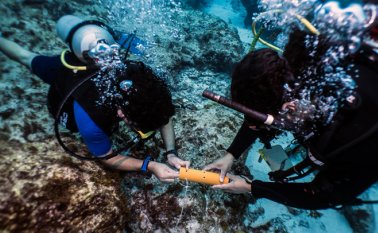 Se expuso que 315 mil kilómetros cuadrados que corresponden a 118 mil hectáreas en la reserva Sea Flower están siendo afectadas por el uso de plásticos.
Colprensa