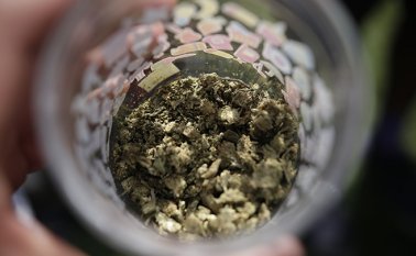 La futura ley recoge especial expectativa por el reciente fallo de la Corte Constitucional. Colprensa