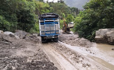 Que se activan con los aguaceros. Cortesía