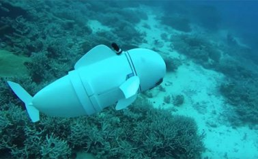 Los investigadores crearon un sistema vascular con baterías de flujo interconectadas e integradas en un robot en forma de pez Pterois -una especie presente en los océanos Índico y Pacífico-. EFE